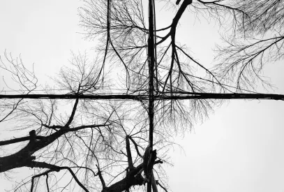 Billion Casino Mobilna aplikacija